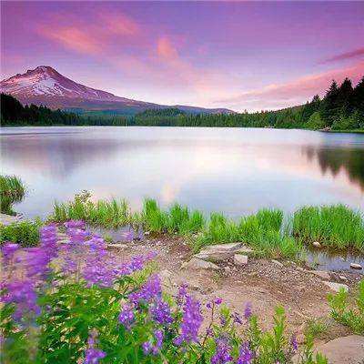 恐惧之书无敌版