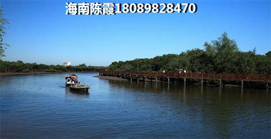 岳阳新房纸不纸得买