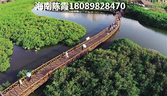 岳阳现在买房哪里比较好，去岳阳买房孑哪里好新房