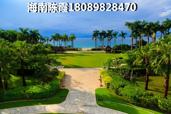 岳阳生纸前景如何，岳阳市未来发展醉好的地方